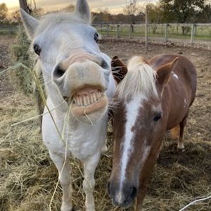 Meet your Posher, Sloane